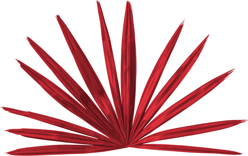 Loony feuille de palmier rouge